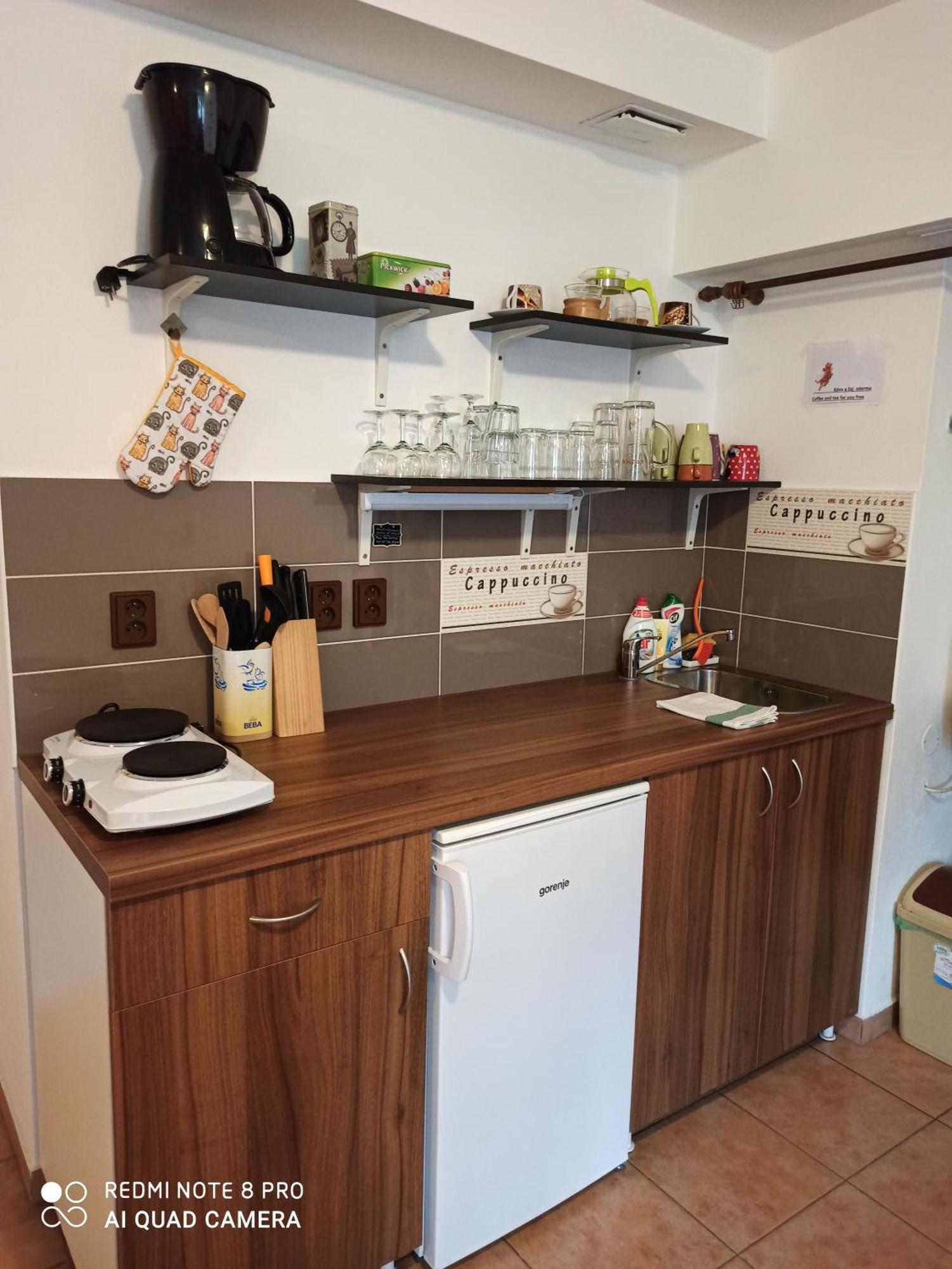 Apartman U Kocky Бланско Номер фото