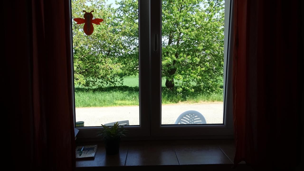 Apartman U Kocky Бланско Экстерьер фото